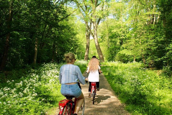 Countryside Fishermen Villages & Cheese E-bike Tour - Jacobs Hoeve by Henri Willig: cheesemaking plus tasting time