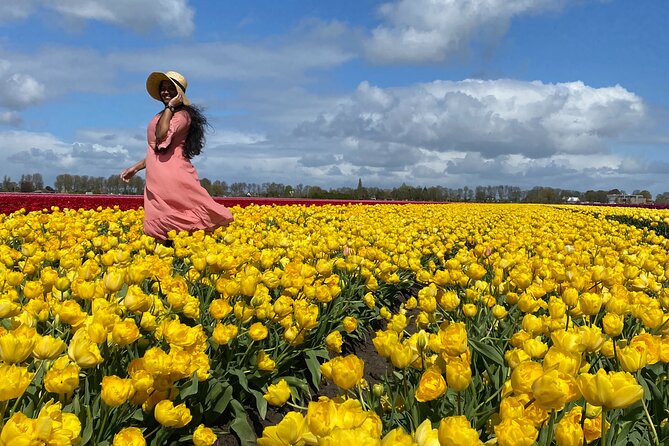 Discover Holland’s Beautiful Tulip Fields with an Expert Guide - Beemster Polder: The UNESCO Water Story Before the Tulips