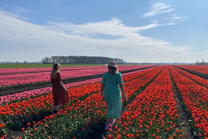Discover Holland’s Beautiful Tulip Fields with an Expert Guide - Onderdijk Lunch: More Than a Break Stop