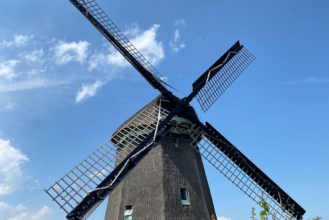 Escape Amsterdam: E-Bike to Zaanse Schans Windmills & Zaandam - NDSM Wharf Back Into Amsterdam: Street Art After the Windmills