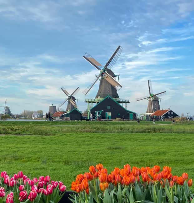 From Amsterdam; Alkmaar Cheese market & Zaanse Schans - Key points worth knowing before you go