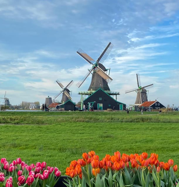 From Amsterdam; Alkmaar Cheese market & Zaanse Schans - The coach drive and what a local guide adds
