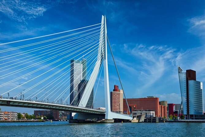 From Amsterdam: Day Trip to Rotterdam, Delft & Hague with Cruise - Timing reality: how the day stays doable