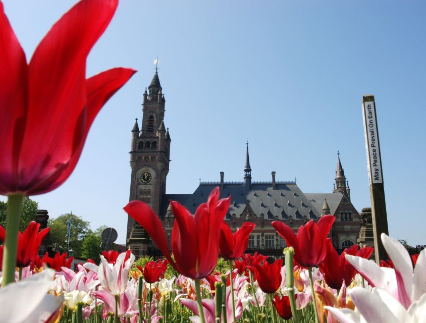 From Amsterdam: Guided Trip to Rotterdam, Delft & The Hague - From Amsterdam Central: your meeting point and ride day reality