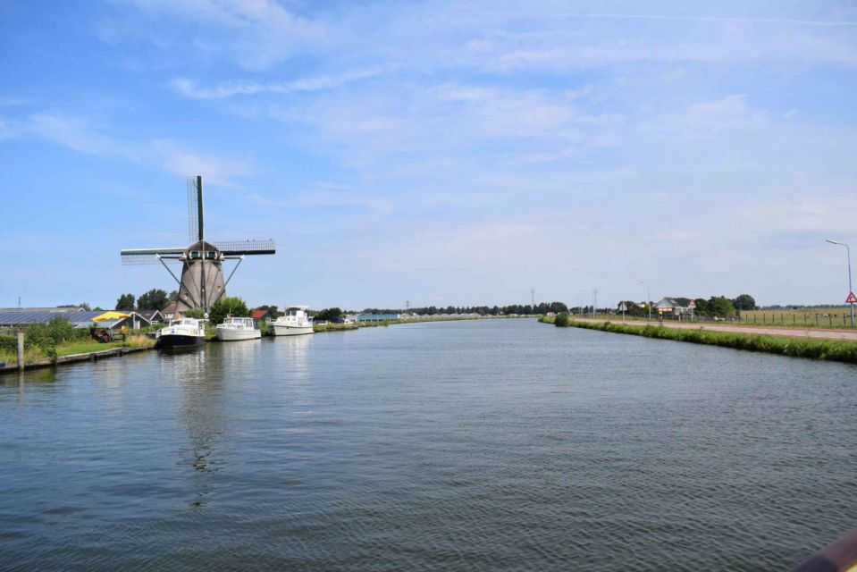 From Amsterdam: Holland Flower and Windmill Tour - summer ed - The apple pie-and-coffee pause with Anja’s touch