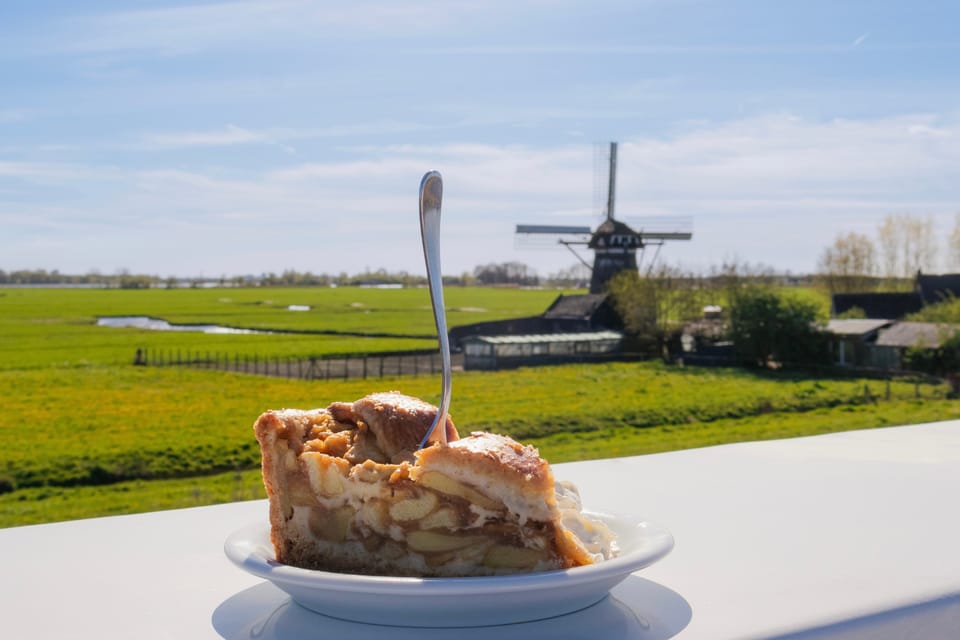 From Amsterdam: Holland Flower and Windmill Tour - summer ed - Why the windmill stop feels more than a drive-by