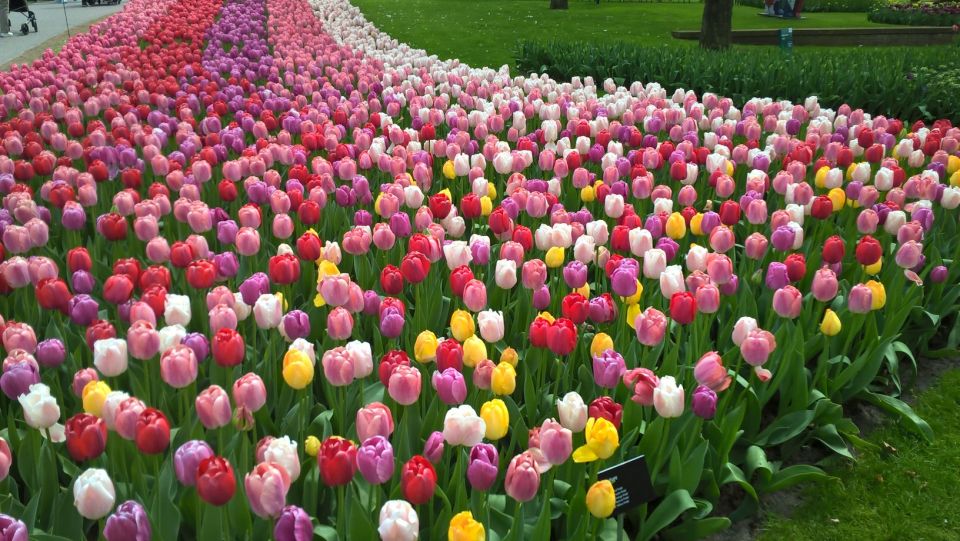 From Amsterdam: Keukenhof and Zaanse Schans Small Group Tour - Key tour takeaways before you go