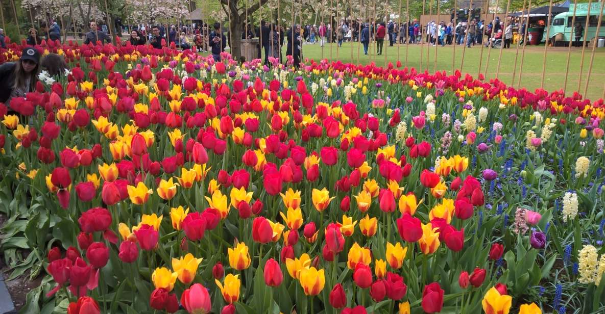 From Amsterdam: Keukenhof and Zaanse Schans Small Group Tour - From Amsterdam Centraal to Keukenhof: how the day starts