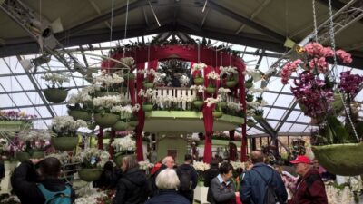 From Amsterdam: Keukenhof and Zaanse Schans Small Group Tour - Keukenhof flower gardens: what 3 hours really feels like