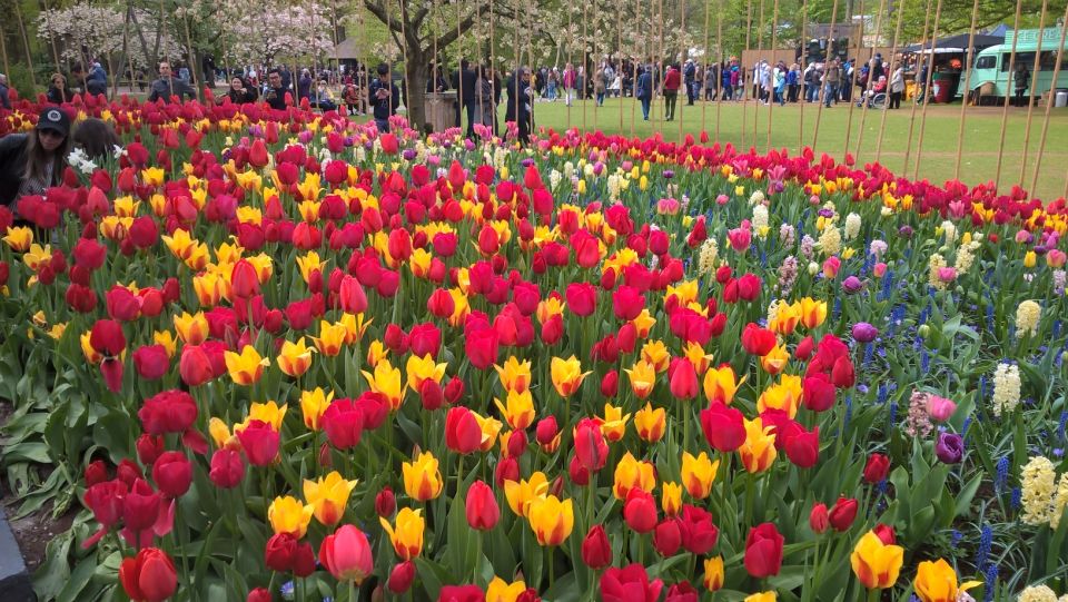 From Amsterdam: Keukenhof and Zaanse Schans Small Group Tour - Practical tips to make the most of Keukenhof + Zaanse Schans
