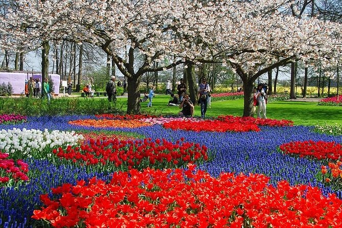 From Amsterdam: Keukenhof Gardens Ticket and Transfer - Why This Amsterdam-to-Keukenhof Transfer Is Worth Paying For