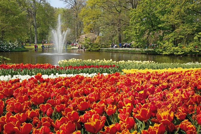 From Amsterdam: Keukenhof Gardens Ticket and Transfer - The Bus Ride to Lisse: More Relaxed Than You’d Expect
