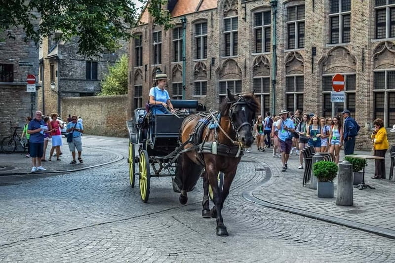 From Amsterdam: Private Sightseeing Tour to Bruges - Bruges in About Four Hours: Canals, Photo Stops, and a Self-Guided Walk
