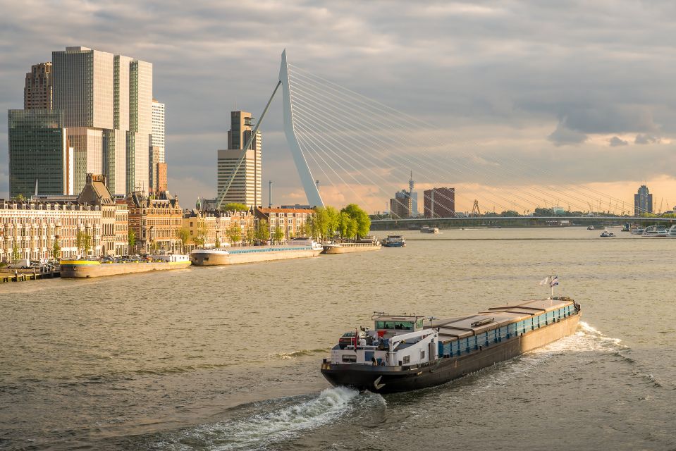 From Amsterdam: Rotterdam and The Hague Tour in Spanish - Who This Tour Fits Best