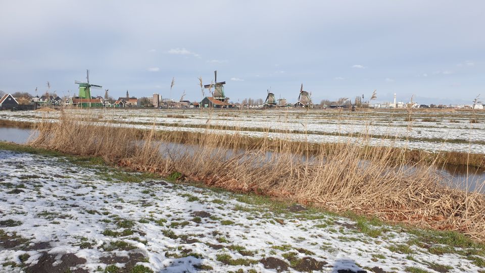 From Amsterdam: Small Group Zaanse Schans and Volendam Tour - Key Points You’ll Actually Care About