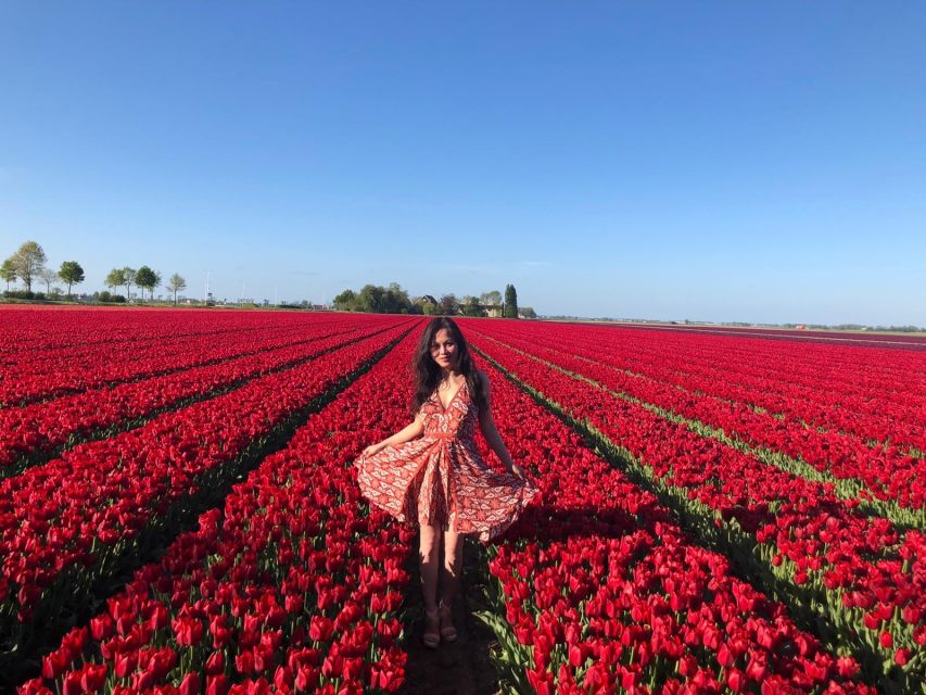 From Amsterdam: Tulip Tour Keukenhof & City Tour Delft - Guide style: what to expect from the human part of the day