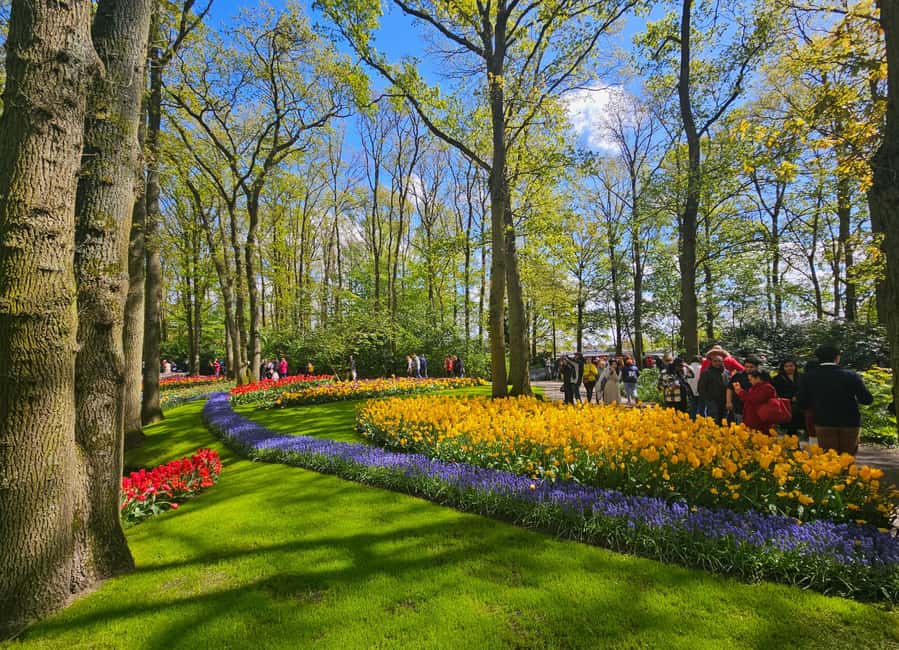 From Amsterdam: Tulip Tour Keukenhof & City Tour Delft - Delft after the gardens: canals, churches, and Delftware basics