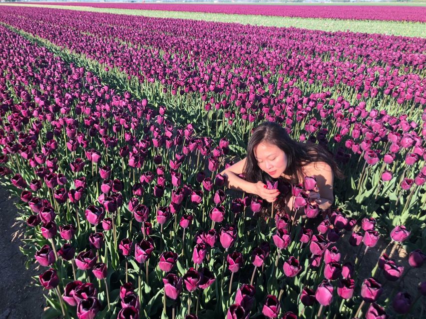 From Amsterdam: Tulip Tour Keukenhof & City Tour Delft - Royal Delft note: what this tour does not include