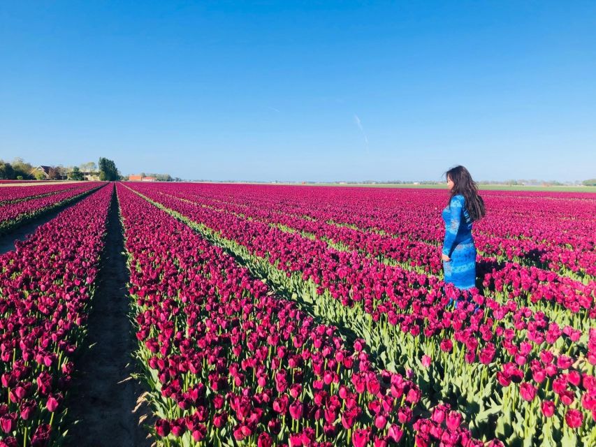 From Amsterdam: Tulip Tour Keukenhof & City Tour Delft - Entering the tulip park: the guided walk + your own photo time