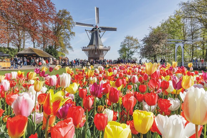 Full-Day Skip the Line Keukenhof and Canal Cruise from Amsterdam - Key things I’d plan around