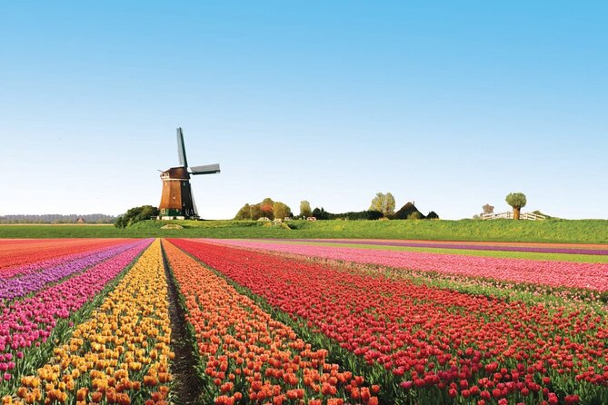 Full-Day Skip the Line Keukenhof and Canal Cruise from Amsterdam - Keukenhof gardens with real time to wander (about 7 hours)