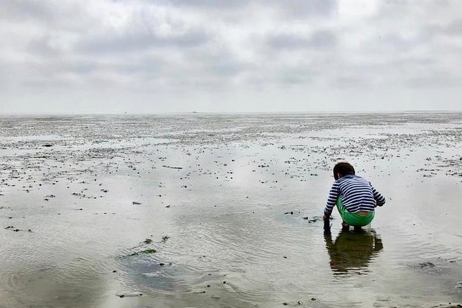 Full day tour to Texel - Friesian Islands - from Amsterdam - Texel: 5 hours of island time with dunes, villages, and nature reserves