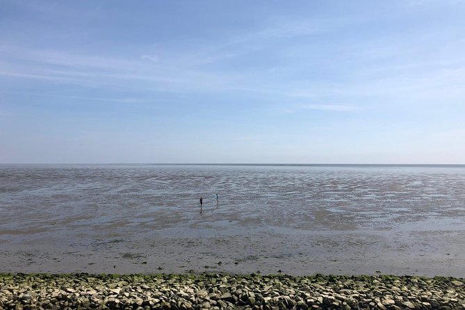 Full day tour to Texel - Friesian Islands - from Amsterdam - Optional seal safari: worth budgeting for