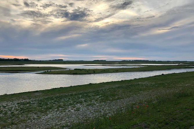 Full day tour to Texel - Friesian Islands - from Amsterdam - Who this tour is best for