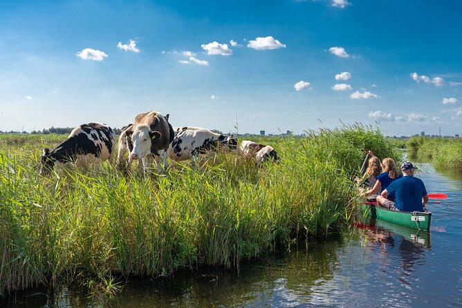 Guided Canoe Adventure with Picnic Lunch in Waterland from Amsterdam - Quick hits you’ll care about