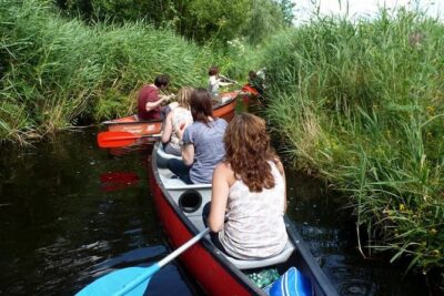 Guided Canoe Adventure with Picnic Lunch in Waterland from Amsterdam - The canoe setup: 2–3 paddlers, flat-water simplicity