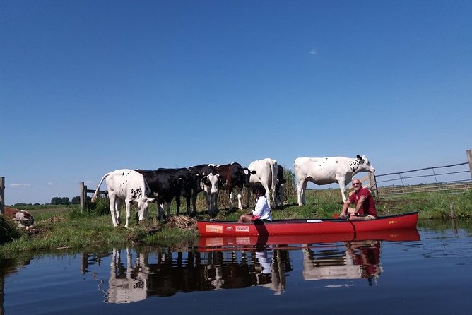 Guided Canoe Adventure with Picnic Lunch in Waterland from Amsterdam - The village house stops: stories about Dutch water life