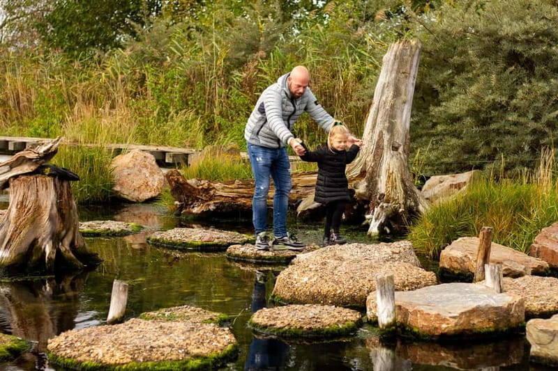 Harderwijk: Dolfinarium Entry Ticket - Key things to know before you go
