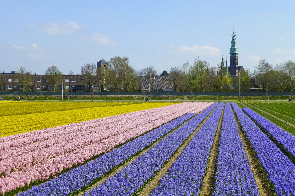 Keukenhof: Flower Fields Small-Group Cultural Bike Tour - Keukenhof timing: how to pair the tour with the gardens