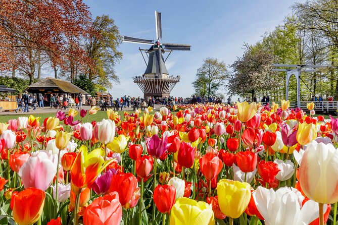Keukenhof, Flower Fields, Volendam and Zaanse Schans Small-Group Tour - Key highlights at a glance