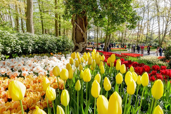 Keukenhof, Flower Fields, Volendam and Zaanse Schans Small-Group Tour - Meeting at Amsterdam Central: the small-group start at 9:00am