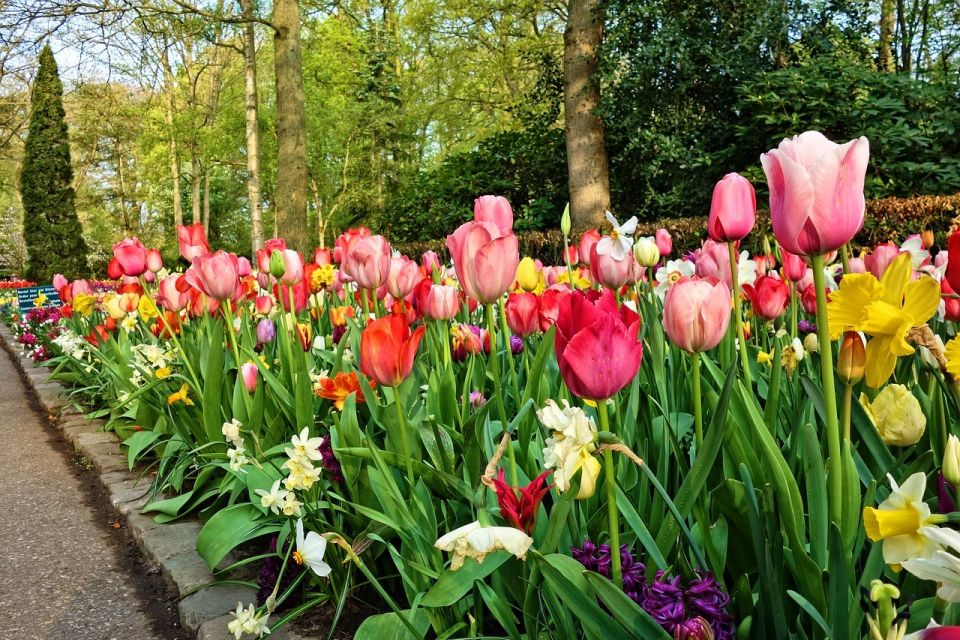Keukenhof Gardens and Tulip Experience Tour from Amsterdam - Tulip Experience Amsterdam: where the tulip story clicks