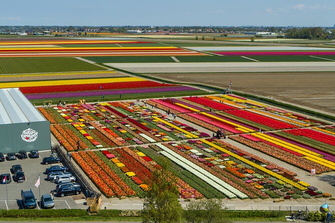 Keukenhof Gardens and Tulips Private Tour from Amsterdam - Key things I’d bookmark before you go