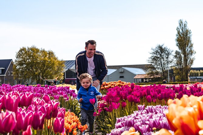 Keukenhof Gardens and Tulips Private Tour from Amsterdam - Why this private Keukenhof day trip works so well