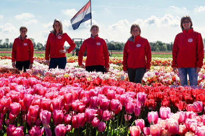 Keukenhof Gardens and Tulips Private Tour from Amsterdam - The Mercedes pickup and drop-off: comfort and control in one package