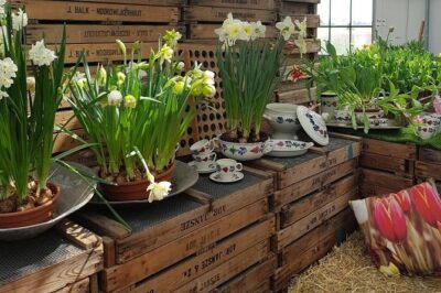 Keukenhof Skip-the-line Tickets: Countryside & Farm Private Tour - Lisse bulb farm and flowerfields: the setup before Keukenhof
