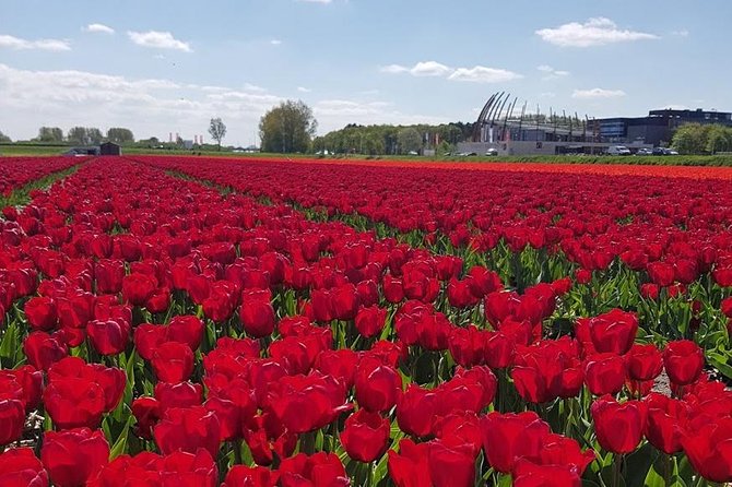 Keukenhof Skip-the-line Tickets: Countryside & Farm Private Tour - Volendam port and the seaside village mood
