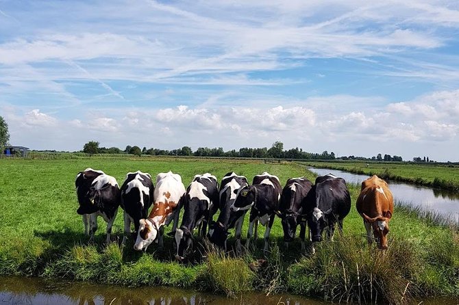 Keukenhof Skip-the-line Tickets: Countryside & Farm Private Tour - What you’re paying for: the value of a private Mercedes + skip-the-line entry