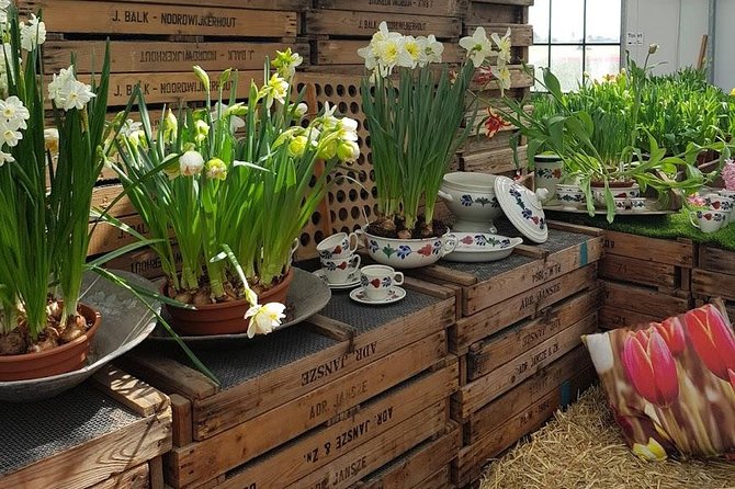 Keukenhof Skip-the-line Tickets: Countryside & Farm Private Tour - Lisse bulb farm and flowerfields: the setup before Keukenhof