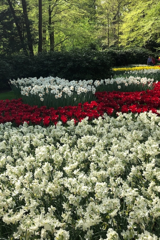 Keukenhof, Tulip Farm, Flower Fields & Windmills - From Amsterdam to Tulips and Windmills: How the Day Flows