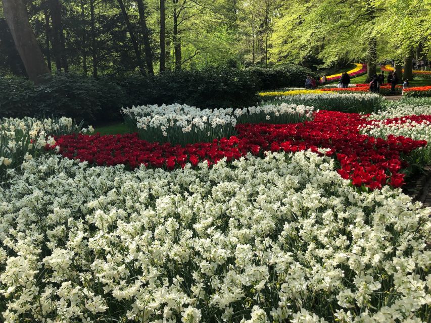 Keukenhof, Tulip Farm, Flower Fields & Windmills - Beemster UNESCO Drive: Why That Countryside Stop Matters