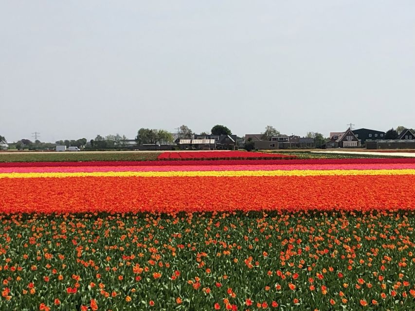 Keukenhof, Tulip Farm, Flower Fields & Windmills - Price and Value: What $347 Buys You in a 7.5-Hour Private Day