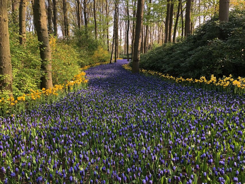 Keukenhof, Tulip Farm, Flower Fields & Windmills - Logistics That Can Make or Break Your Comfort