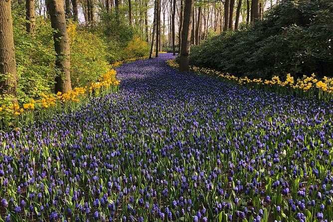 Keukenhof, Tulip Farm, Flower Fields & Zaanse Schans Windmills - A Private Day That Actually Feels Like a Plan