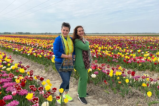 Keukenhof, Tulip Farm, Flower Fields & Zaanse Schans Windmills - Price and Value: What $349.13 Gets You (and When It’s a Great Deal)