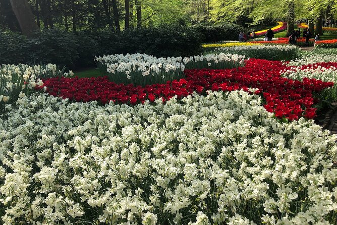 Keukenhof, Tulip Farm, Flower Fields & Zaanse Schans Windmills - Flower Fields Photo Stops: Where the Scenery Meets the Road Trip